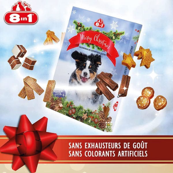 Calendrier de l'Avent 8in1 Chien