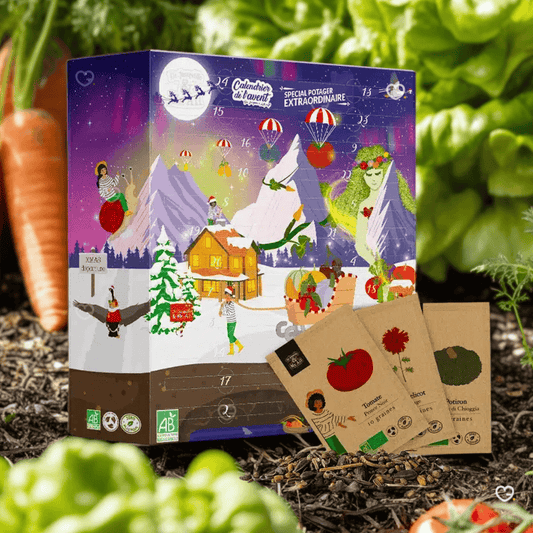 Calendrier de l'Avent Potager